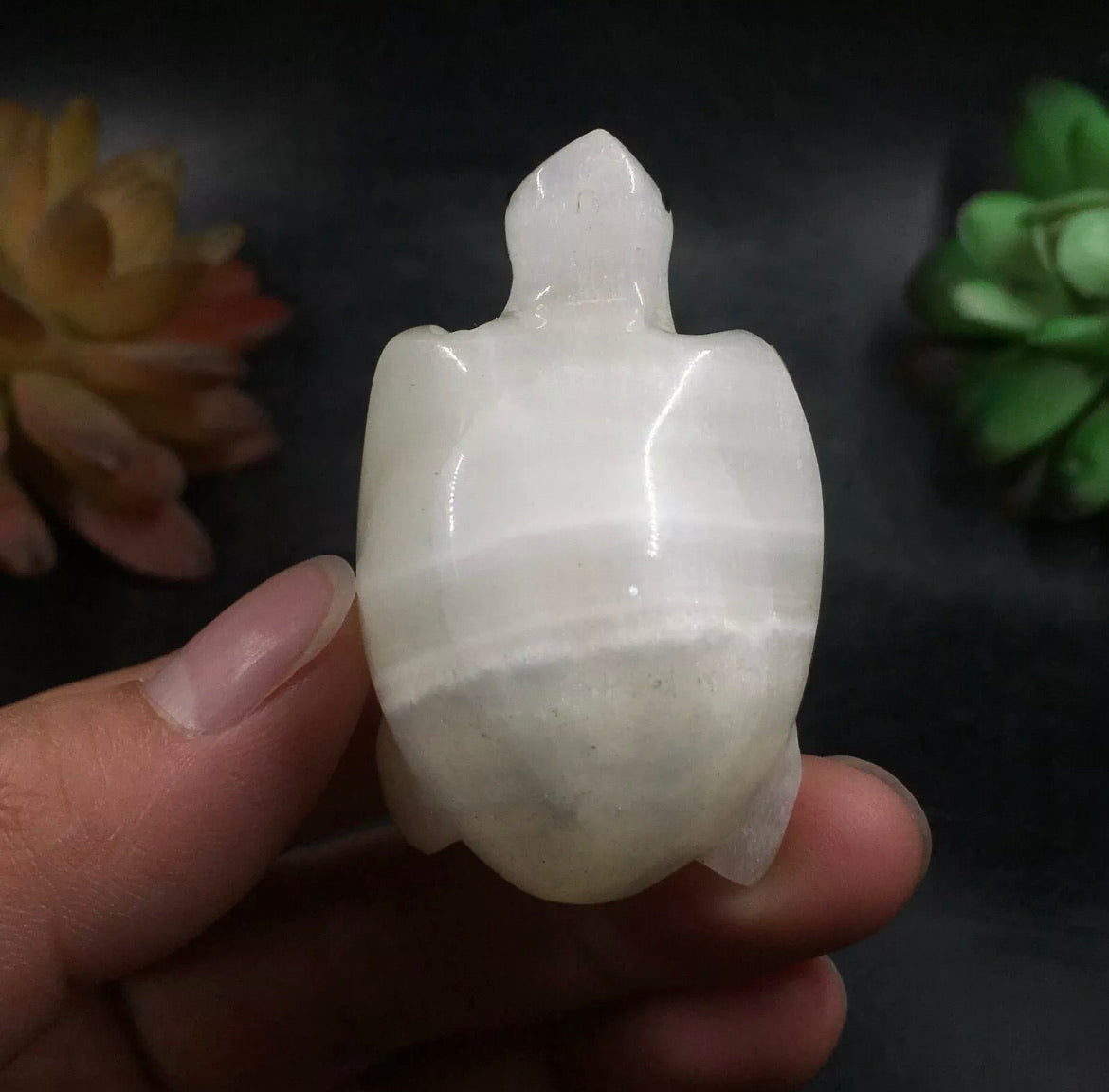 Natural White Agate gemstone Turtle