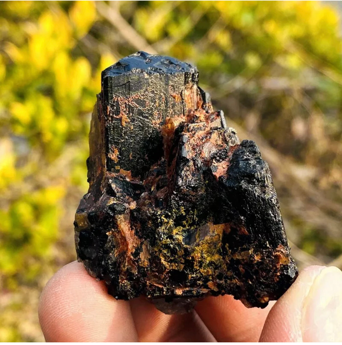 Natural black tourmaline quartz crystal mineral specimen