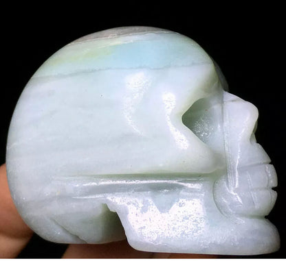 Caribbean Blue aragonite blue calcite skull