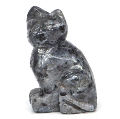 Natural Larvikite Gemstone Cat