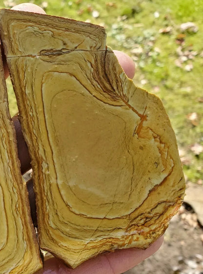 Natural Craig Gulch Yellow Picture Jasper