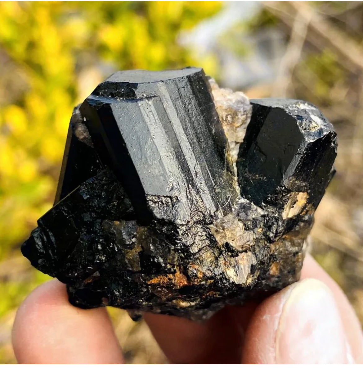 Natural black tourmaline quartz crystal mineral specimen
