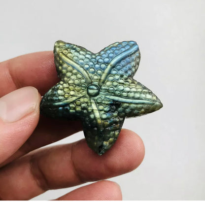 Natural Labradorite Starfish Crystal