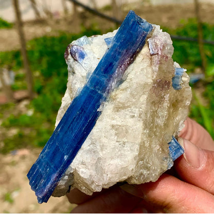 Natural Kyanite in Quartz