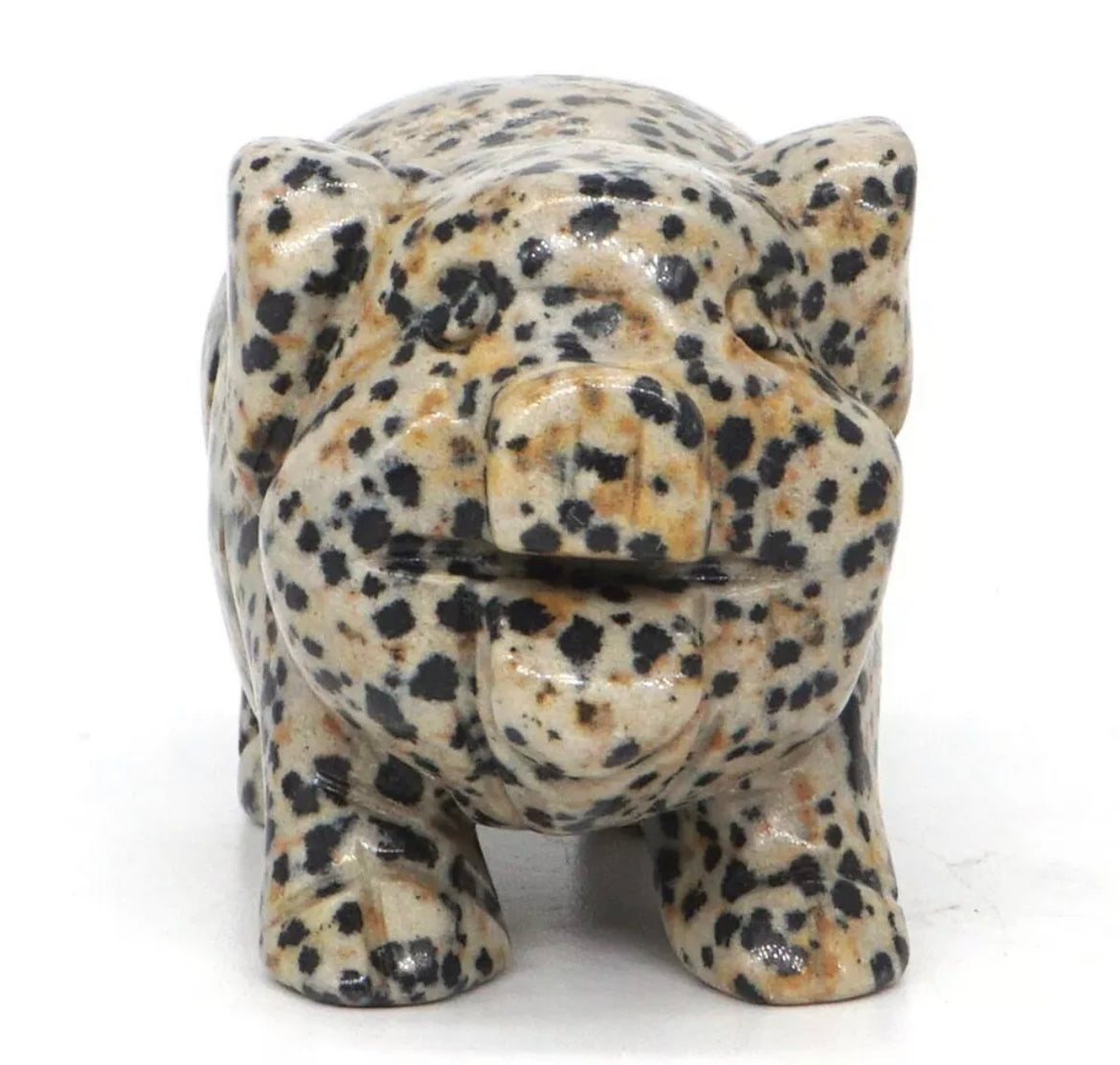 Natural Dalmatian Jasper Pig