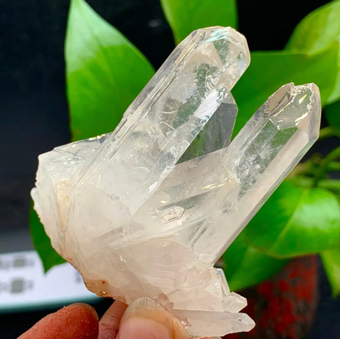 Large Himalayan high-grade quartz clusters / mineralsls healing