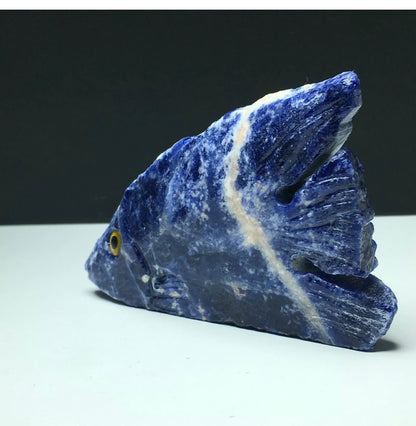 Natural Sodalite gemstone Tropical Fish