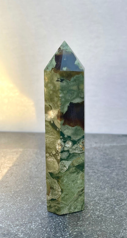 Rainforest Jasper