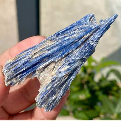 Natural Crystal Kyanite Rough Form