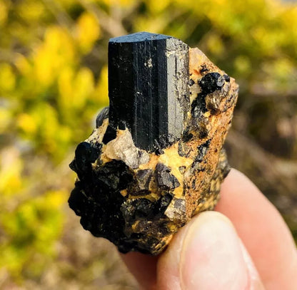 Natural black tourmaline quartz gemstone crystal mineral specimen