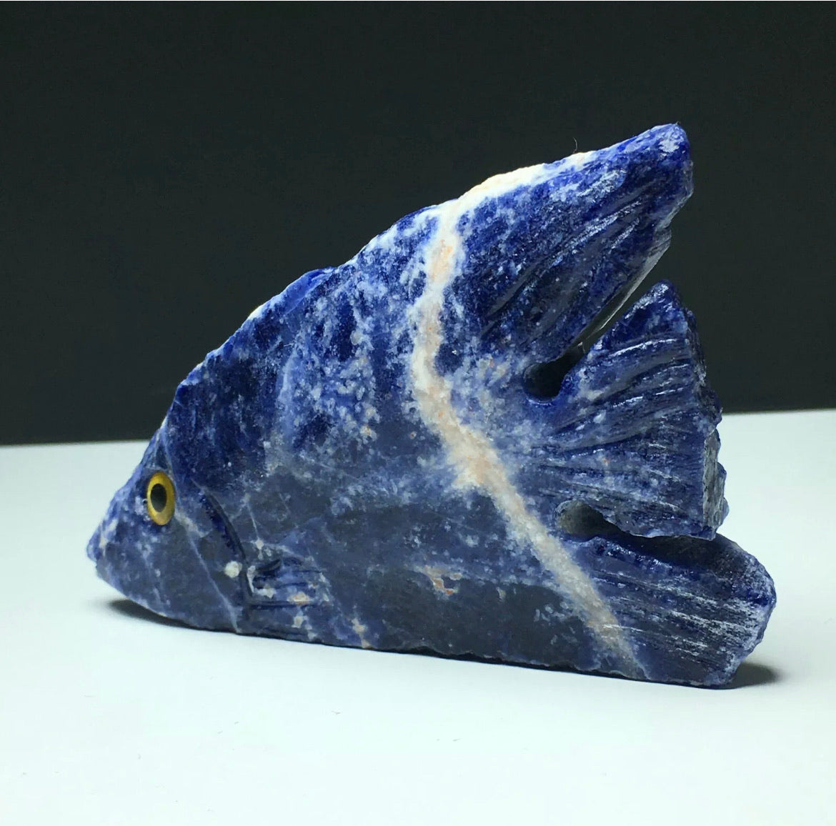 Natural Sodalite gemstone Tropical Fish