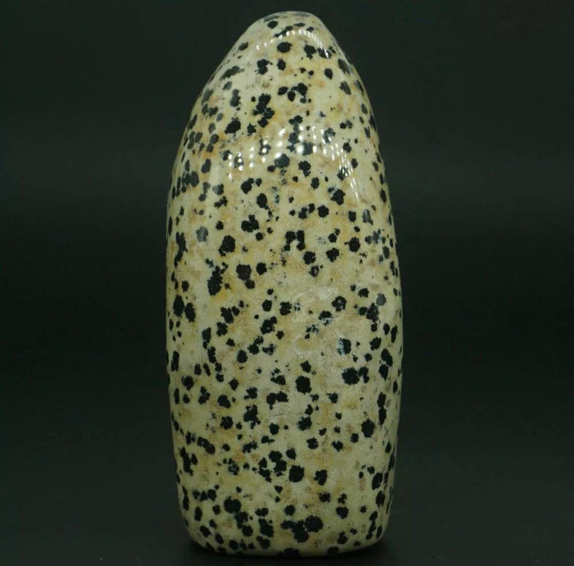 Natural Dalmatian Jasper gemstone