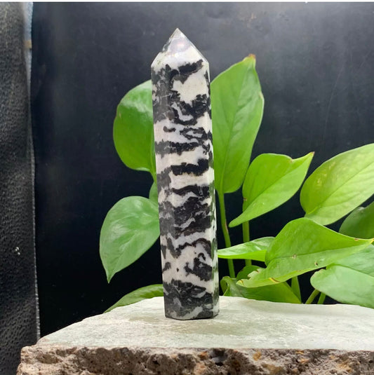 Natural Zebra Stone Rough crystal quartz wand piont obelisk healing