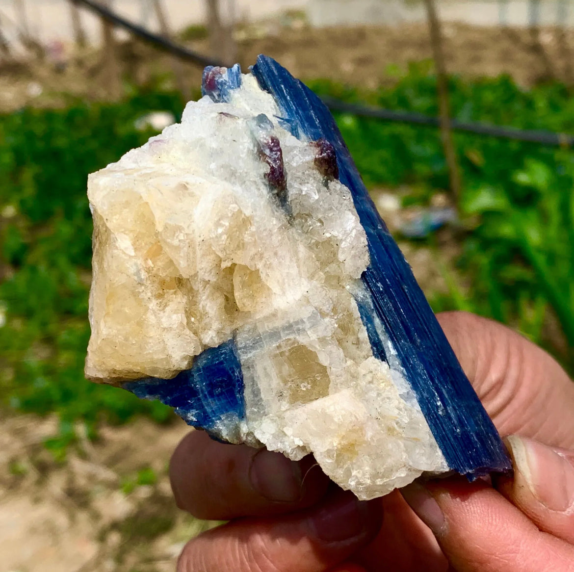 Natural Kyanite in Quartz