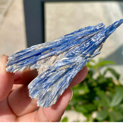 Natural Crystal Kyanite Rough Form