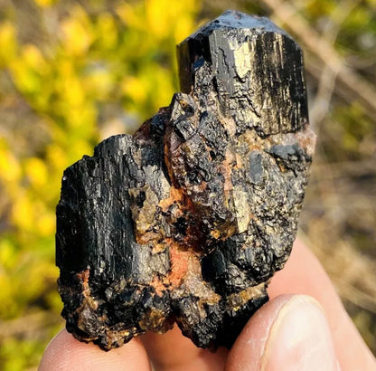 Natural black tourmaline quartz crystal mineral specimen