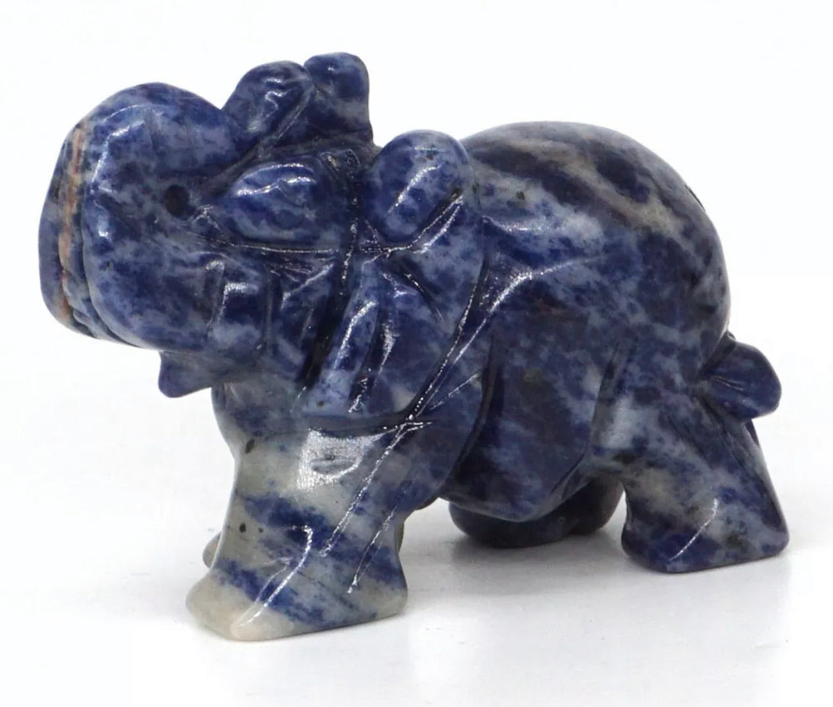 Natural Blue Sodalite gemstone carved elephant