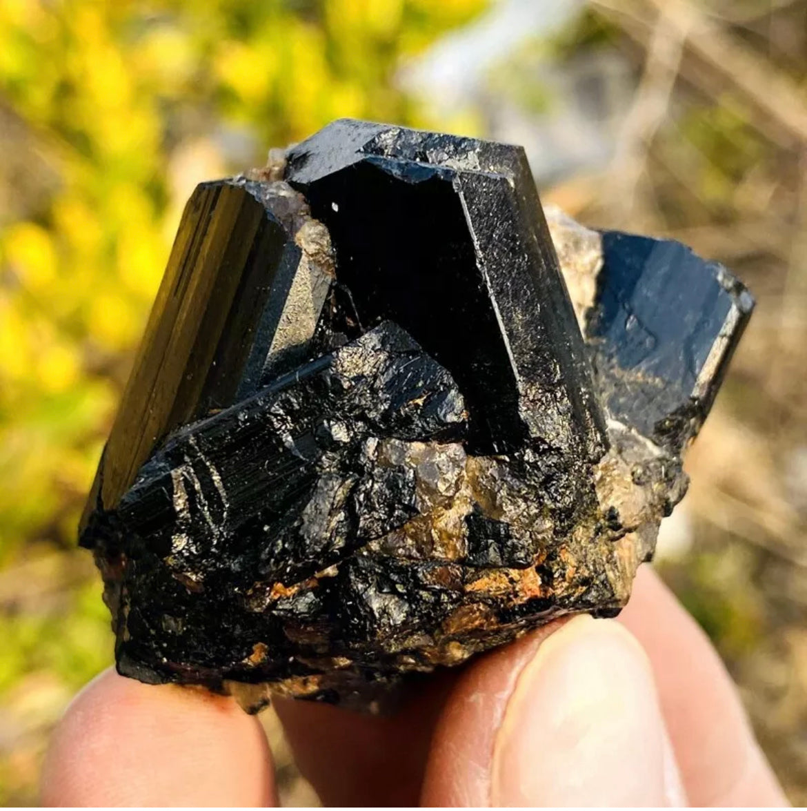 Natural black tourmaline quartz crystal mineral specimen