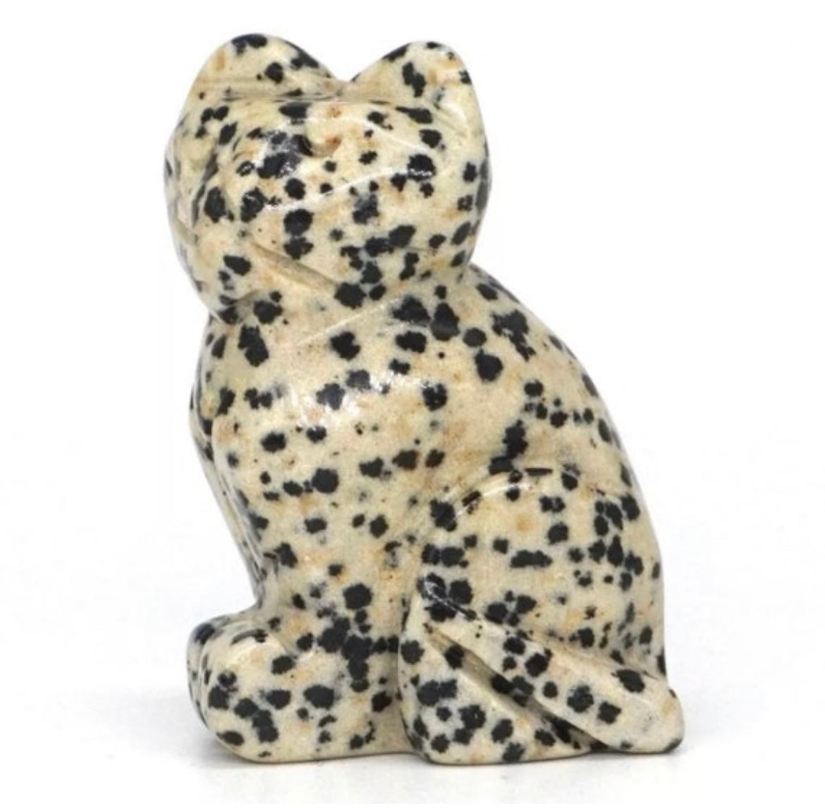 Natural Dalmatian Jasper Kitty Cat