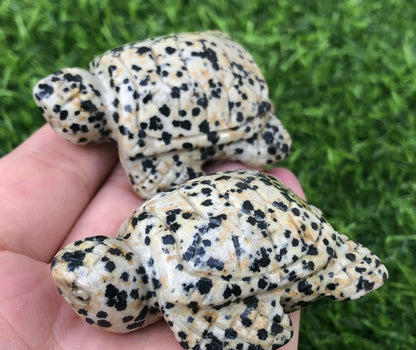 Natural Dalmatian Jasper Turtle