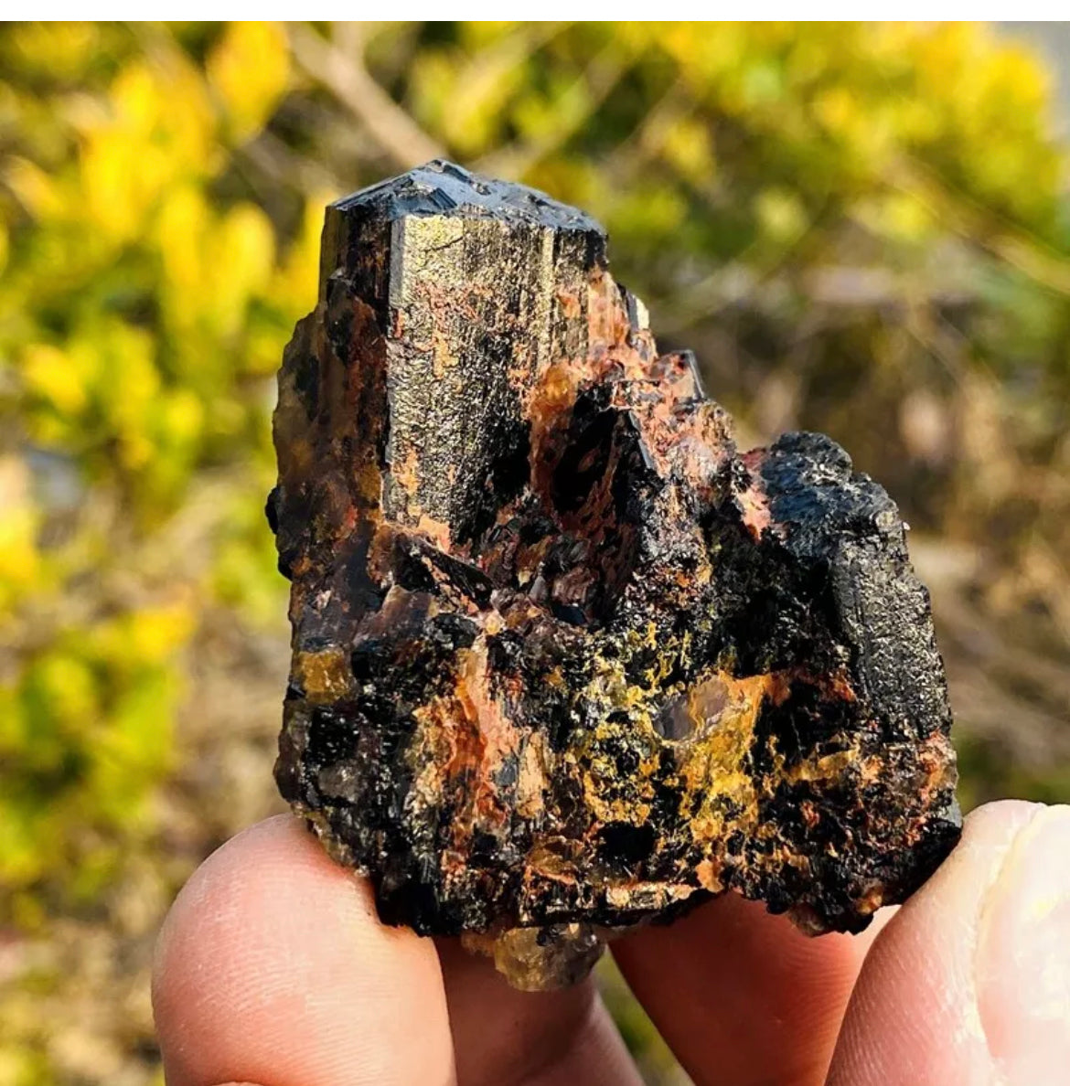 Natural black tourmaline quartz crystal mineral specimen