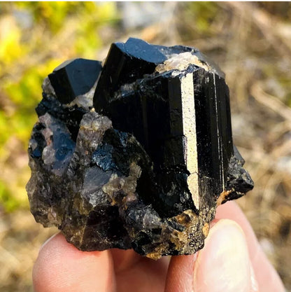 Natural black tourmaline quartz crystal mineral specimen