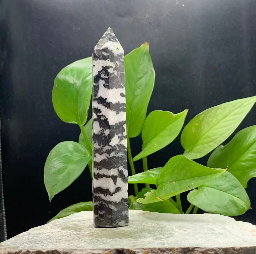 Natural Zebra Stone Rough crystal quartz wand piont obelisk healing