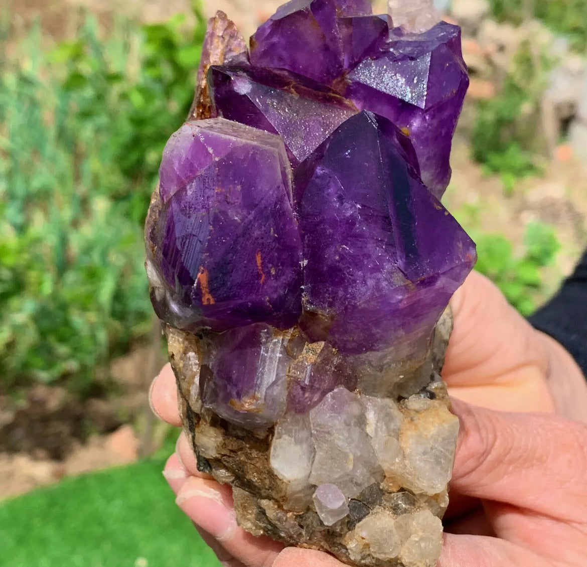 Natural Amethyst gemstone geode cluster crystal specimen