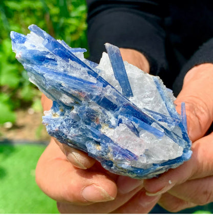 Natural Kyanite in Quartz free form