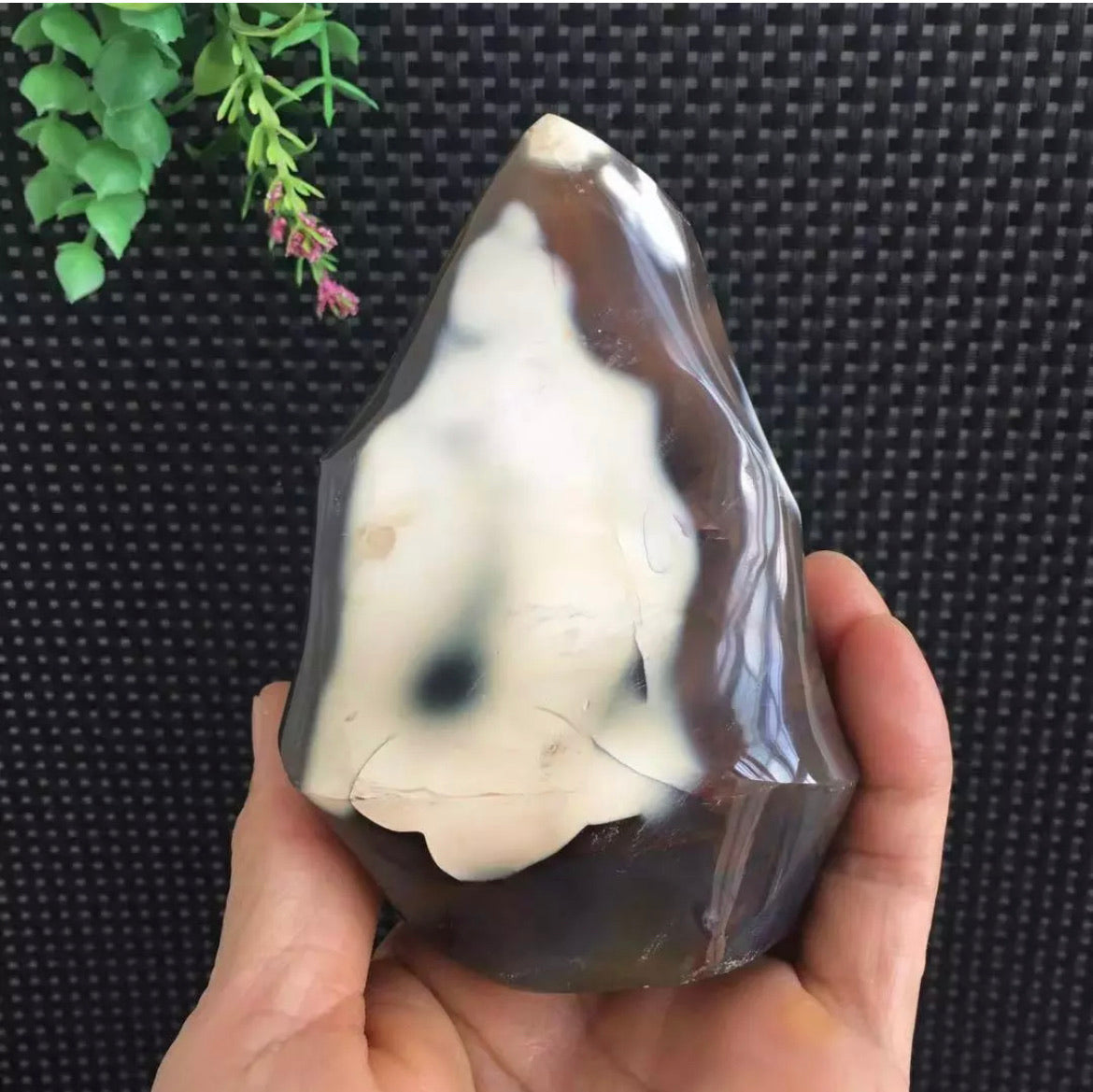 Natural Orca Agate gemstone carved Flame