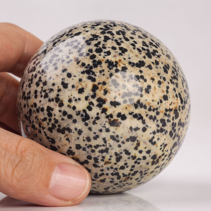 Natural Semiprecious gemstone Dalmatian Jasper crystal Ball sphere reiki healing