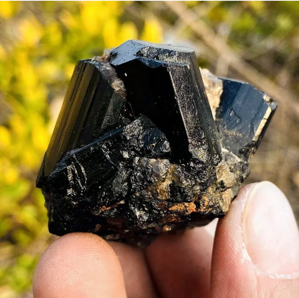 Natural black tourmaline quartz crystal mineral specimen