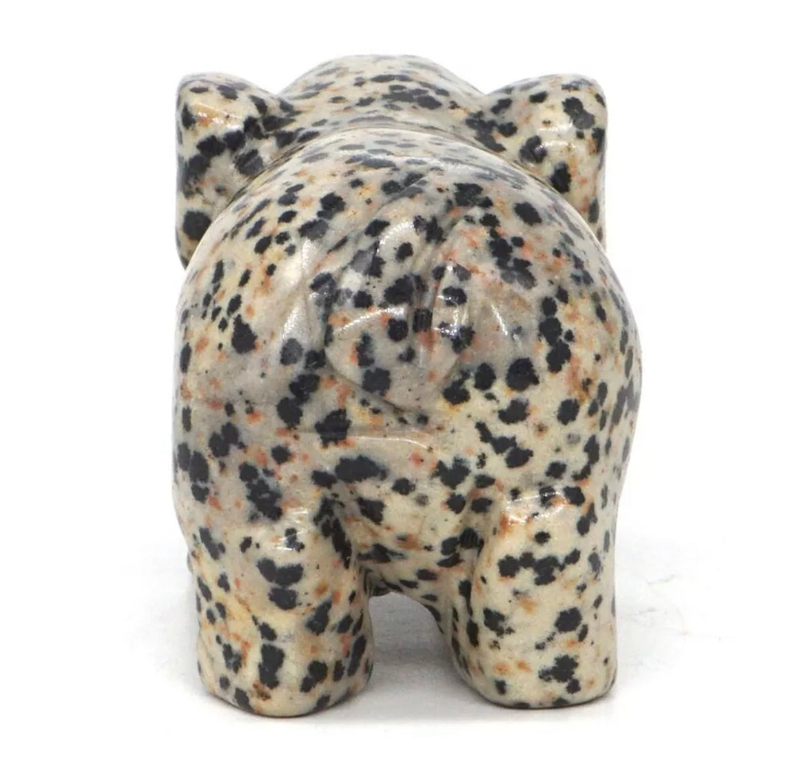 Natural Dalmatian Jasper Pig