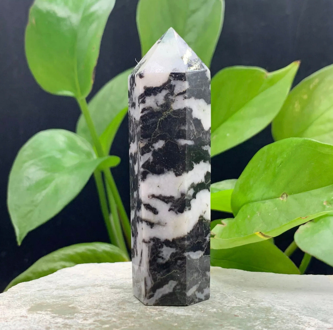 Natural Zebra Gemstone Rough crystal quartz wand point obelisk