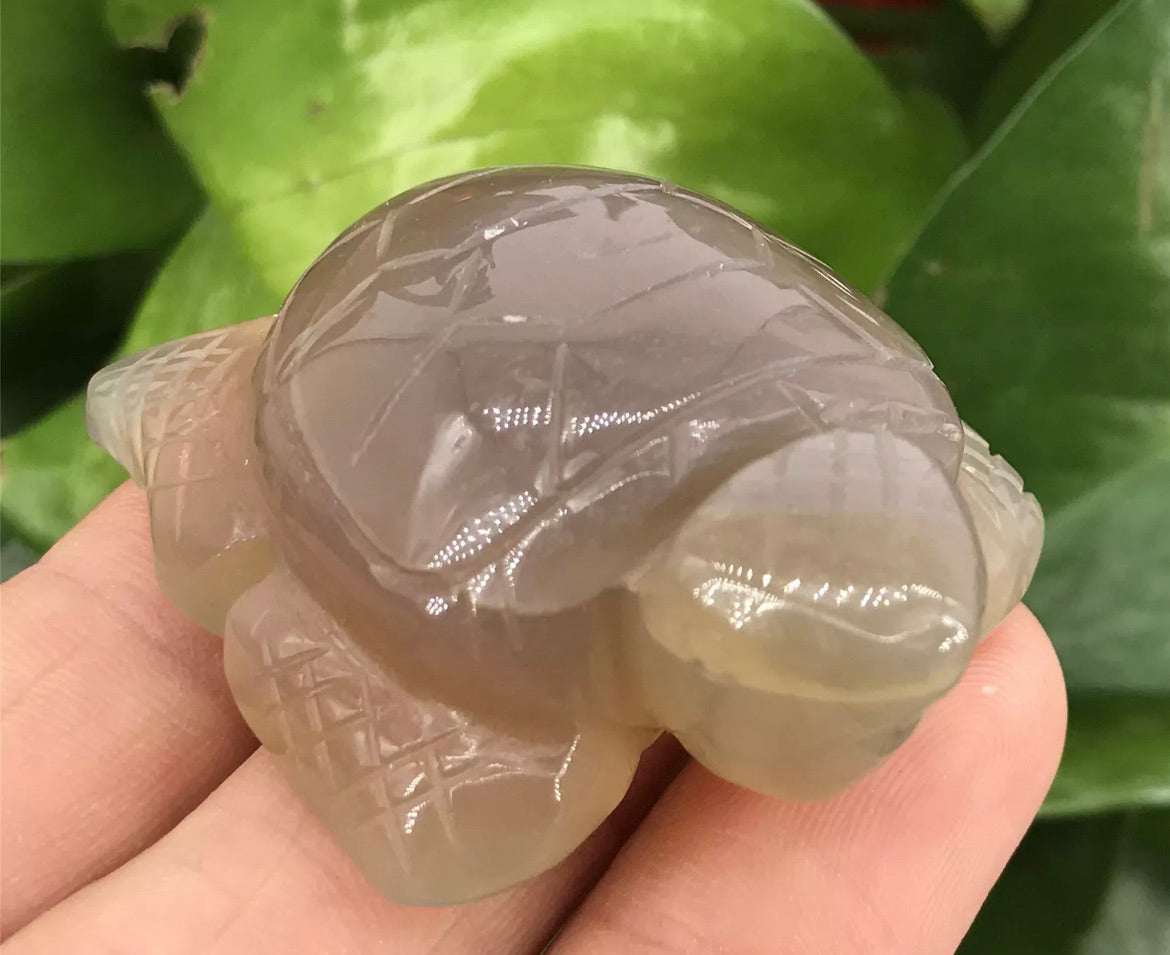 Natural Grey Agate Turtle