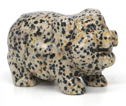 Natural Dalmatian Jasper Pig