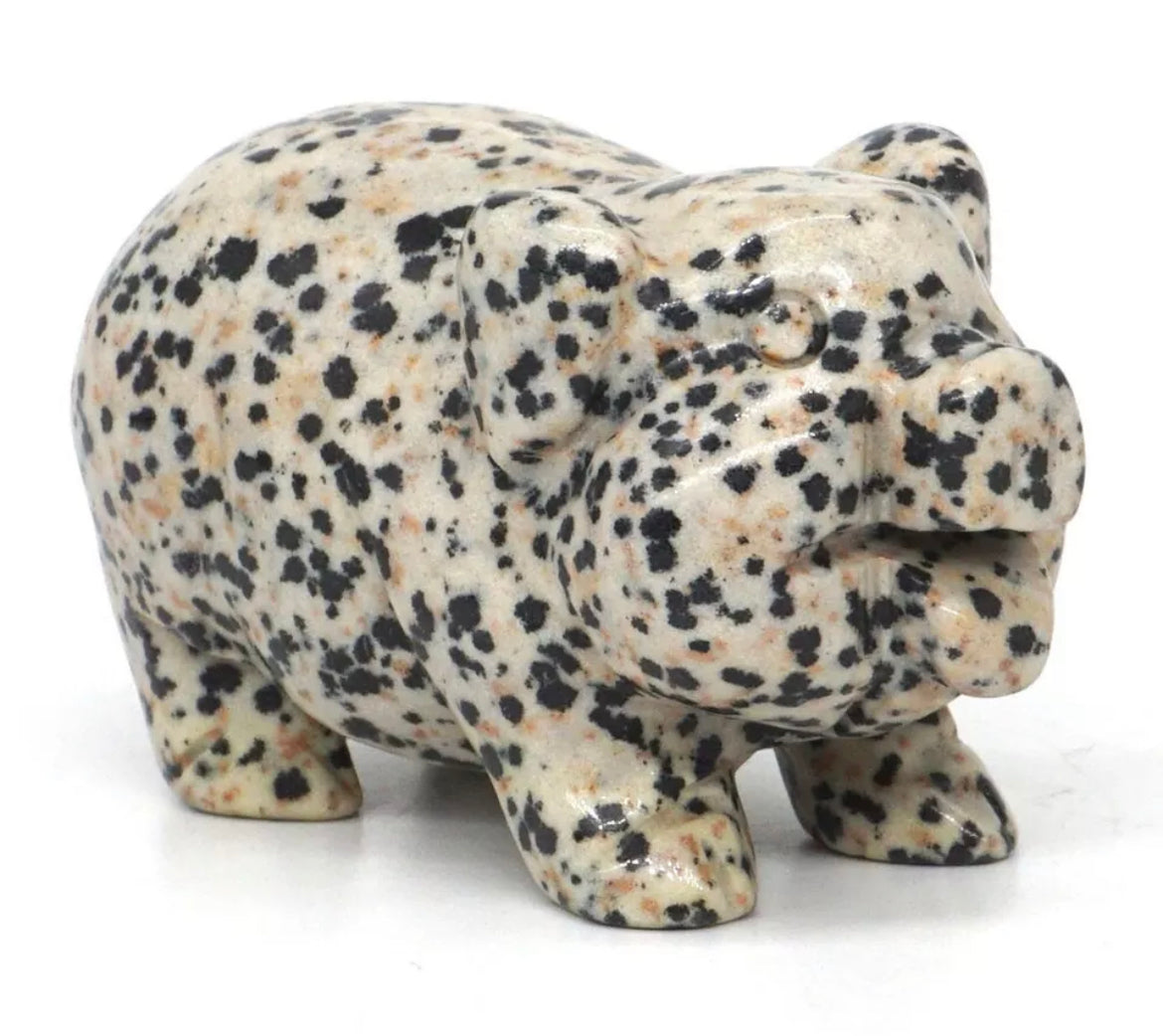 Natural Dalmatian Jasper Pig