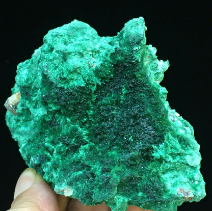 Natural Green Acicular Malachite Crystal Mineral Specimen/ From Congo