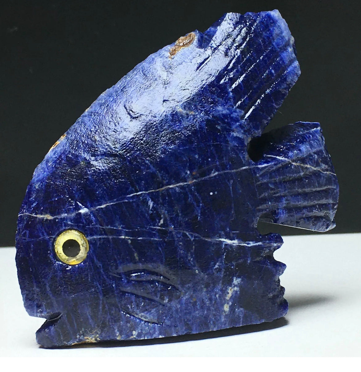 Natural Sodalite gemstone Fish Figurine