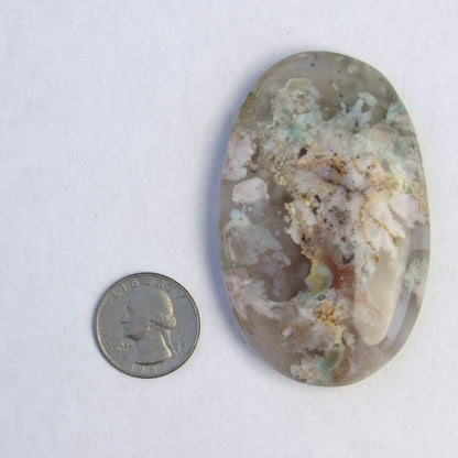 Natural Pink Sakura Flower Agate Palm Stone