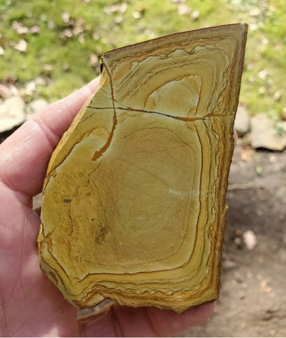 Natural Craig Gulch Yellow Picture Jasper