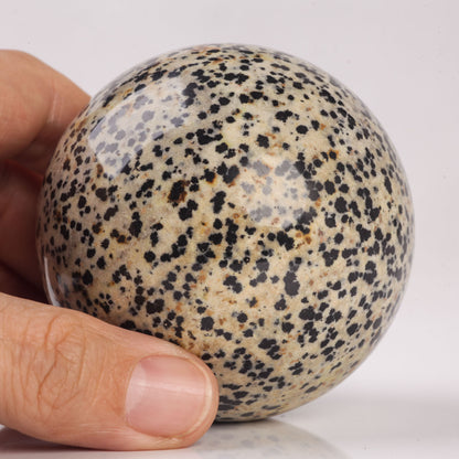 Natural Semiprecious gemstone Dalmatian Jasper crystal Ball sphere reiki healing