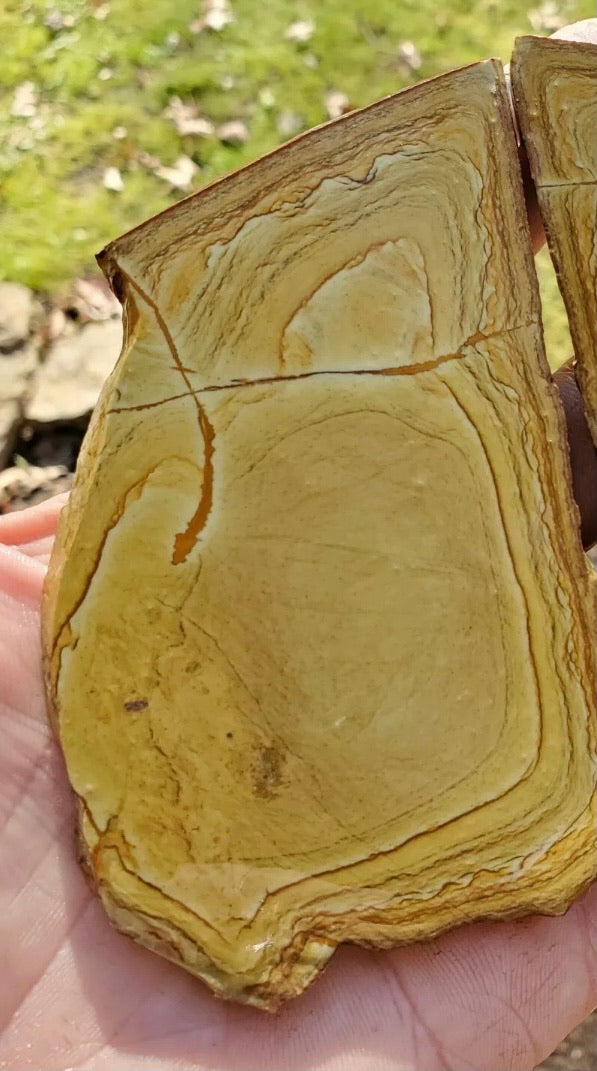 Natural Craig Gulch Yellow Picture Jasper