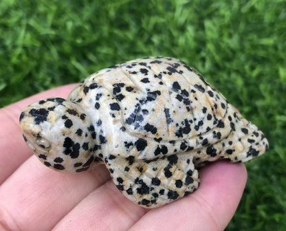 Natural Dalmatian Jasper Turtle