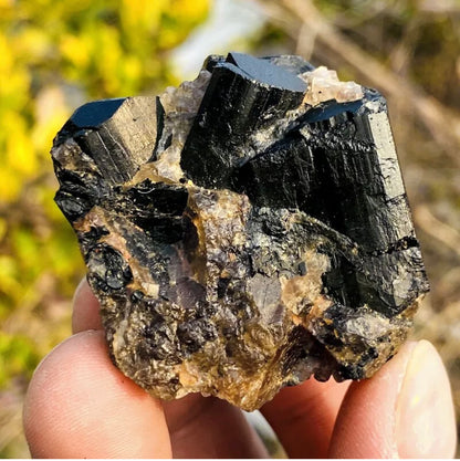 Natural black tourmaline quartz crystal mineral specimen