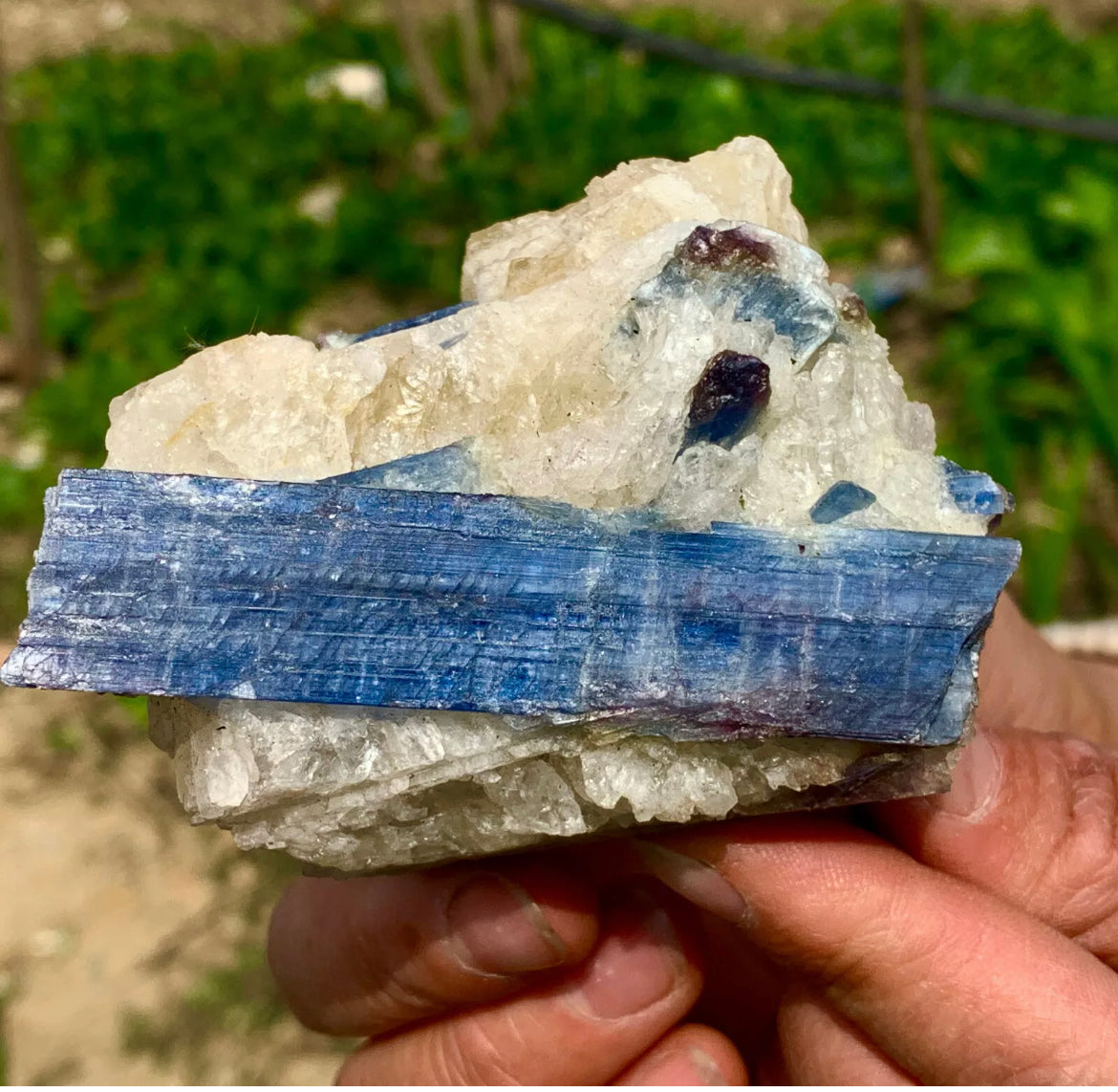 Natural Kyanite in Quartz