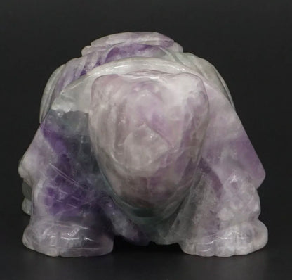 Natural Rainbow Fluorite Turtle