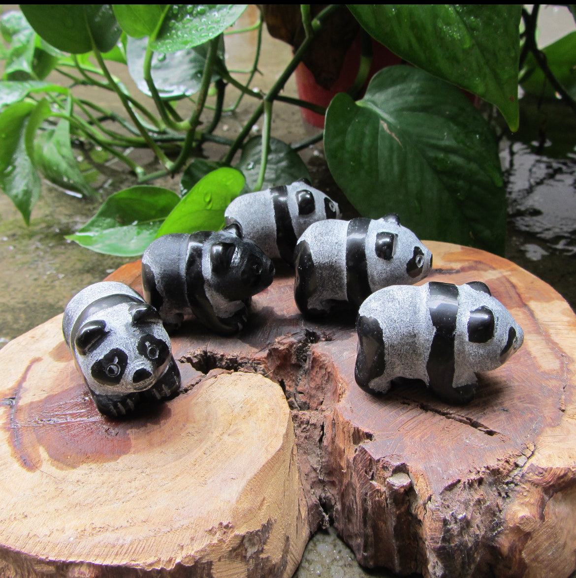 Natural Black Obsidian Panda Bears